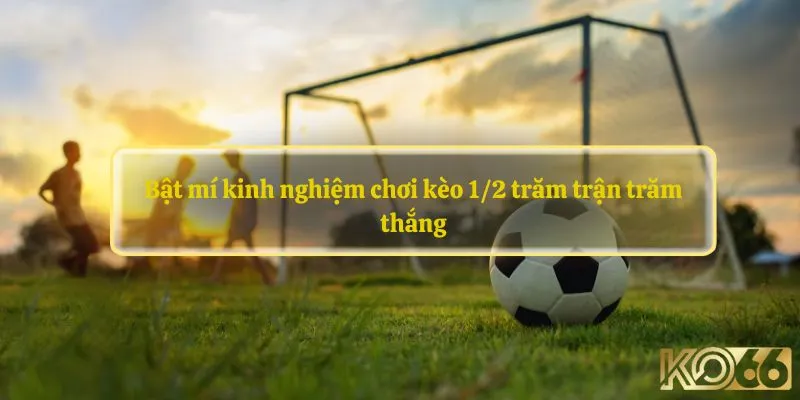 Bật mí kinh nghiệm chơi kèo 1/2 trăm trận trăm thắng