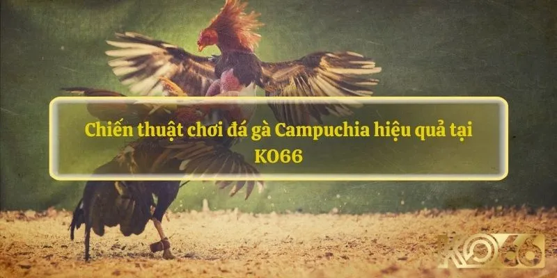 Đá gà Campuchia