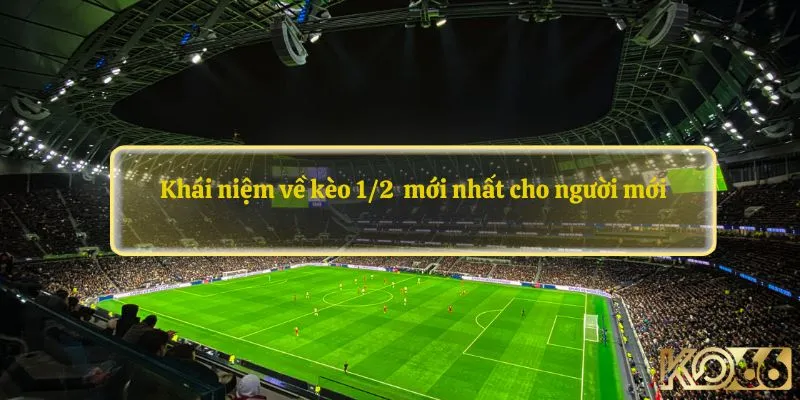 Khái niệm về kèo 1/2  mới nhất cho người mới
